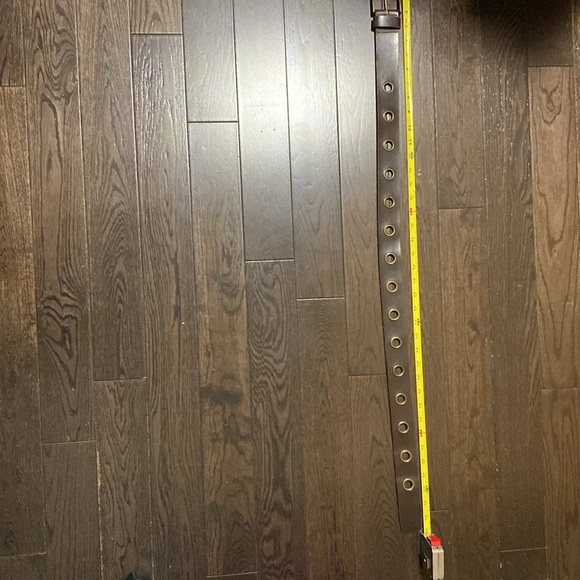 Brown/gold Buffalo belt - Picture 2 of 3